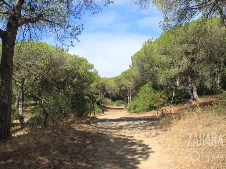 La Breña Torre de Tajo Weg